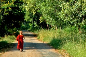Buddhist novice walking down the road in Burma