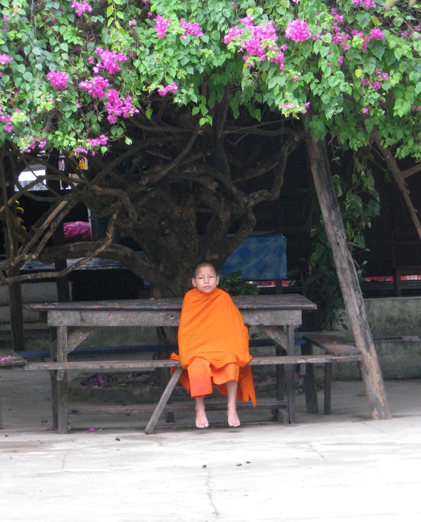 Novice Monk at Wat Sensoikharam, Luang Prabang