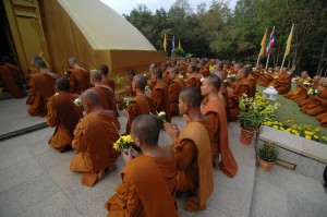 Monks Chanting at Wat Nong Pah Pong