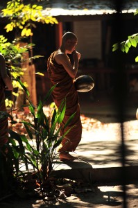 Forest Monk at Wat Pah Nanachat