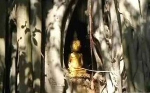 Phra Jao Nang Gone – the Beehive Buddha