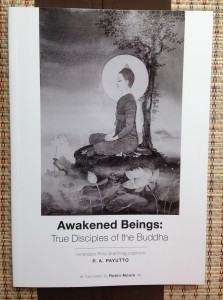 Cover of Awakened Beings